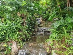 -腾冲洞山温泉村