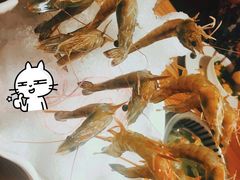 -尚海豆捞(乐虹坊店)