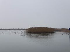-苏州太湖湖滨国家湿地公园