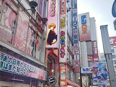 -秋叶原电器街