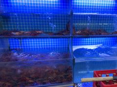 -莽哥海鲜烧烤(盘金路店)