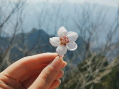 -圣莲山风景区