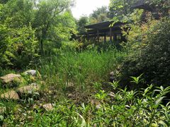 -宝界山林公园