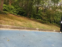 -吴淞炮台湾湿地森林公园烧烤区