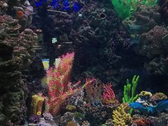 -海合安青岛极地海洋公园