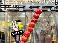 -和禄德冰糖葫芦