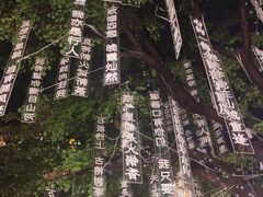 -磁器口古镇