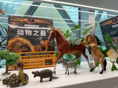 -上海科技馆-探索之光