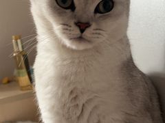 -贝康宠物医院·犬猫全科·小动物特色诊疗中心(东环路店)