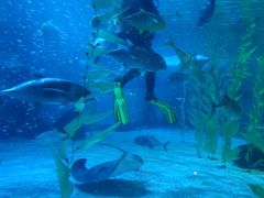 -常州海昌海洋探索馆
