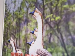 -锅老头海鲜铁锅炖