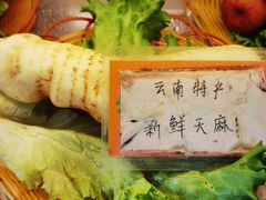 -易门野生菌府·菌海森林(月牙潭公园店)