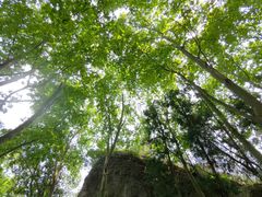 -窦圌山风景区