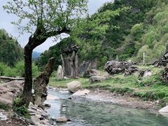 -狮子沟牧场