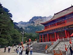 -大芦花风景区