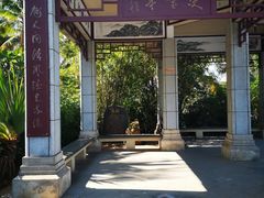 -万绿园
