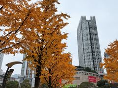 -观音桥步行街