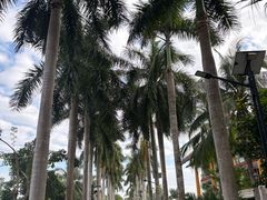 -三亚亚龙湾瑞吉度假酒店