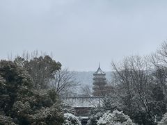 -灵谷景区
