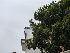 -新安江山水画廊风景区