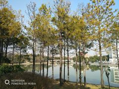 -美兰湖景区