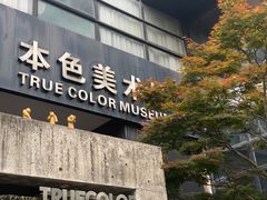-苏州本色美术馆