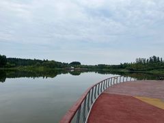-东郊湿地公园