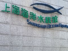 -上海海洋水族馆