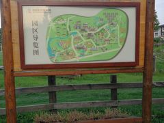 -田园东方蜜桃村的田野营地
