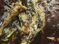 -胖大姐黄辣丁鱼庄(新津店)