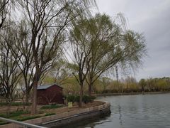 -廊坊文化艺术中心