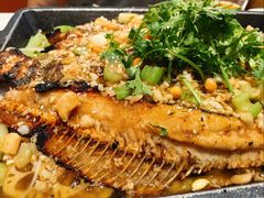-成都美食巫山烤鱼(三里河路店)