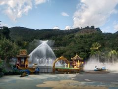 -西双版纳原始森林公园