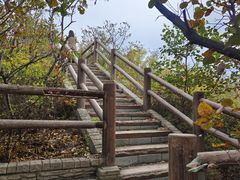 -府君山公园