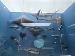 -国家自然博物馆