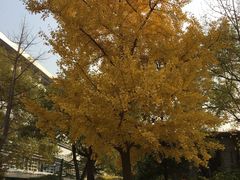 -北京化工大学(东校区)