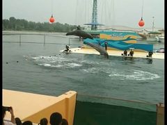 -秦皇岛乐岛海洋王国