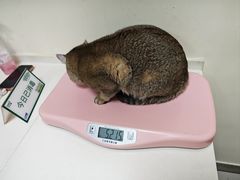 -全心全意连锁动物医院·微创中心·内科急重症·心脏专科(丰管路店)
