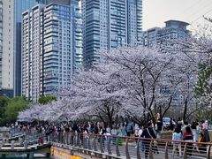 -西北湖绿化广场