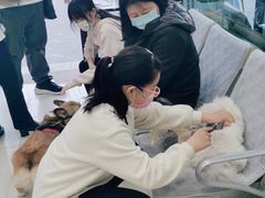 -利又安动物医院··老年病·猫科犬科·中兽医