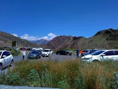 -新疆天山野生动物园