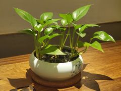 -常乐·对症推拿(来福士第43分店)