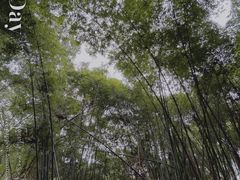 -南山植物园