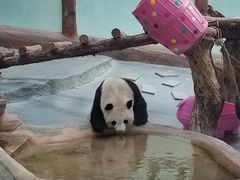 -青藏高原野生动物园
