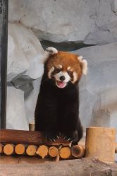 -Zoolung Zoolung动物主题公园(海信广场店)