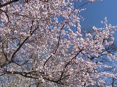 -萤火虫咖啡(后海店)