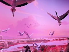 -中国湿地博物馆