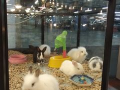 -宠物世家(仲盛世界商城店)