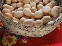 -马陆小张葡萄园农家乐