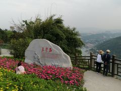 -铁山坪森林公园